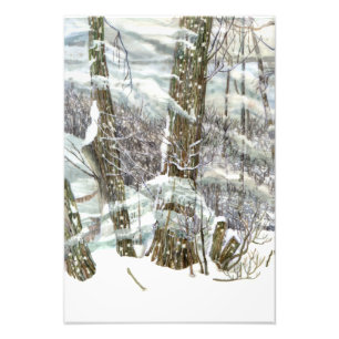 Vinter Fototryck