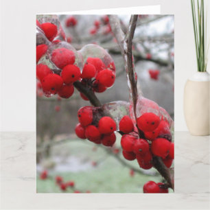 Vinter Freeze och Ice på Red Berries Kort