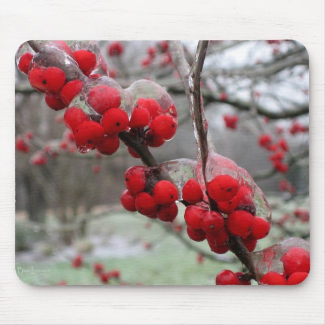 Vinter Freeze och Ice på Red Berries Musmatta (Framsidan)