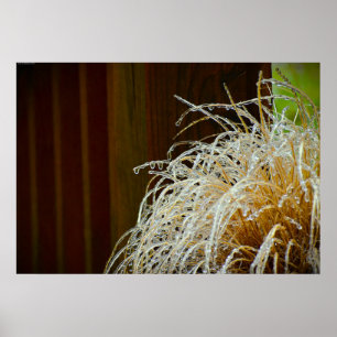 Vinter Freeze Poster