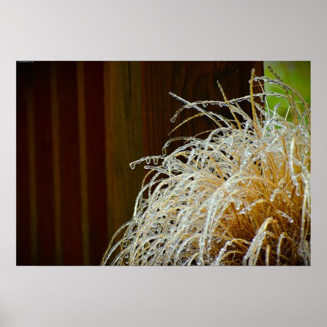 Vinter Freeze Poster (Framsidan)