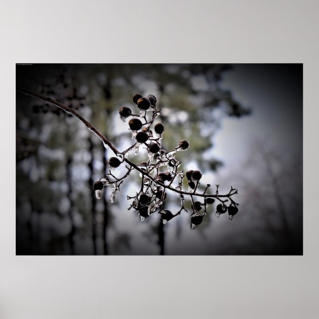 Vinter Freeze Poster (Framsidan)
