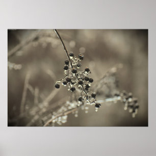 Vinter Freeze Poster