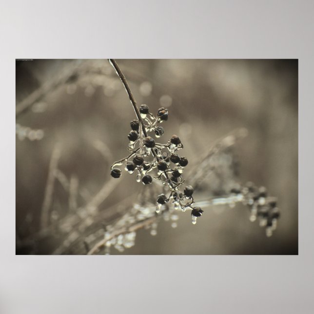 Vinter Freeze Poster (Framsidan)