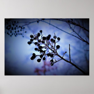 Vinter Freeze Poster
