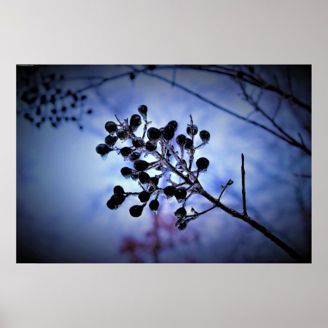 Vinter Freeze Poster (Framsidan)