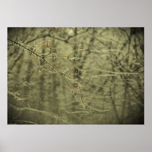 Vinter Freeze Poster