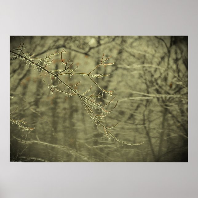 Vinter Freeze Poster (Framsidan)