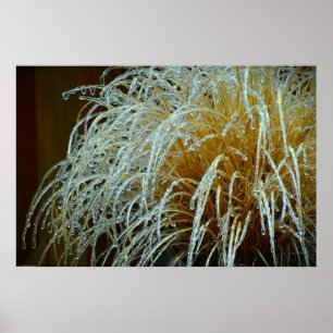 Vinter Freeze Poster