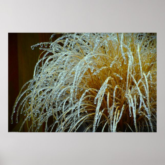 Vinter Freeze Poster (Framsidan)