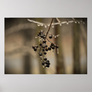 Vinter Freeze Poster