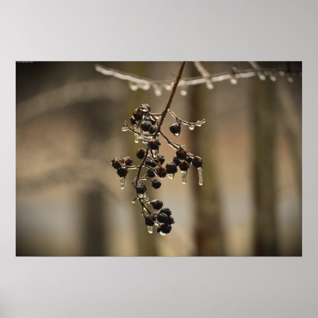 Vinter Freeze Poster (Framsidan)