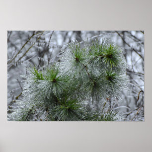 Vinter Freeze Poster