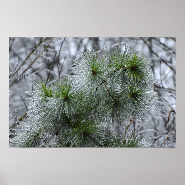 Vinter Freeze Poster (Framsidan)