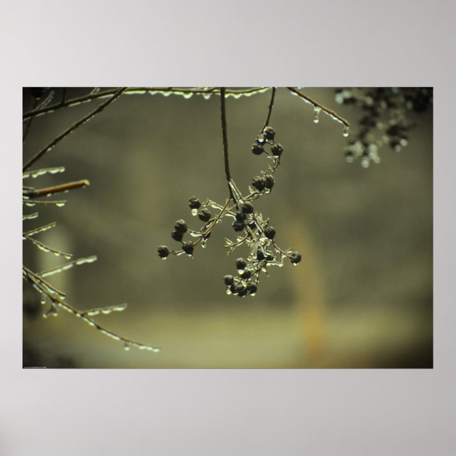 Vinter Freeze Poster (Framsidan)