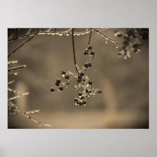 Vinter Freeze Poster