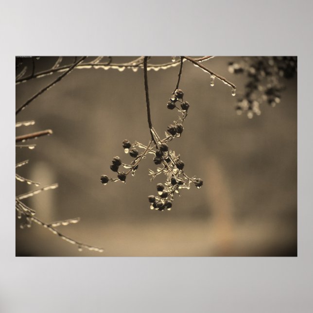 Vinter Freeze Poster (Framsidan)