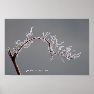 Vinter Frusen gren Poster