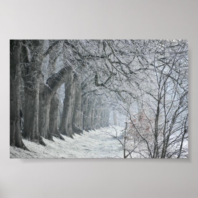 Vinter God morgon Poster (Framsidan)