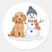 Vinter Goldendoodle Hund Söt Snöman