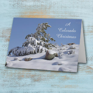 Vinter Gräs Colorado-julkort Helgkort