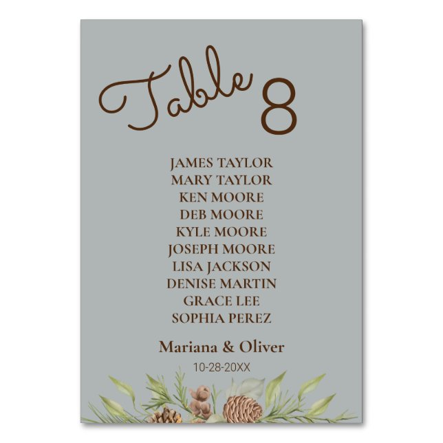 Vinter-Grått-Bordsnummer-kort med Namn Bordsnummer (Framsidan)