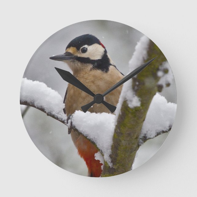 Vinter Hackspett Klocka (Framsida)