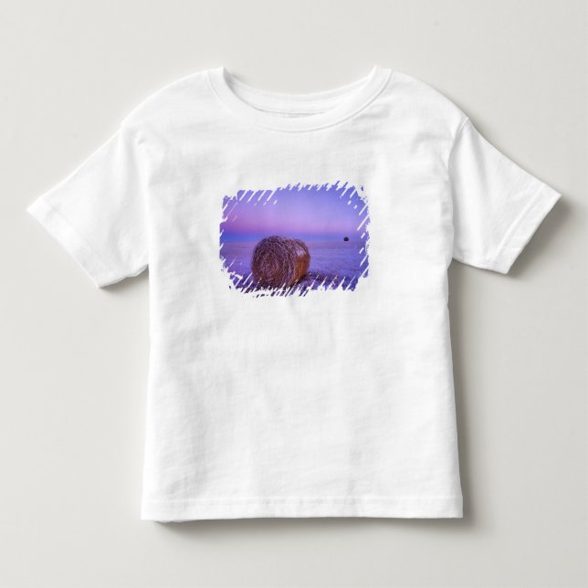 Vinter halmbalar nära Cartwright North T Shirt (Framsida)
