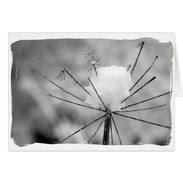 Vinter Hälsningskort (Framsidan Horizontal)