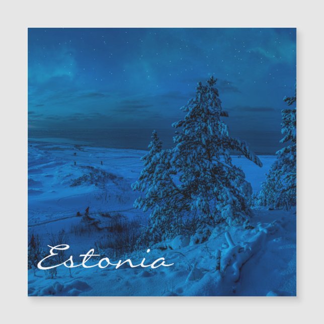 Vinter havskust i månsken (Framsida)
