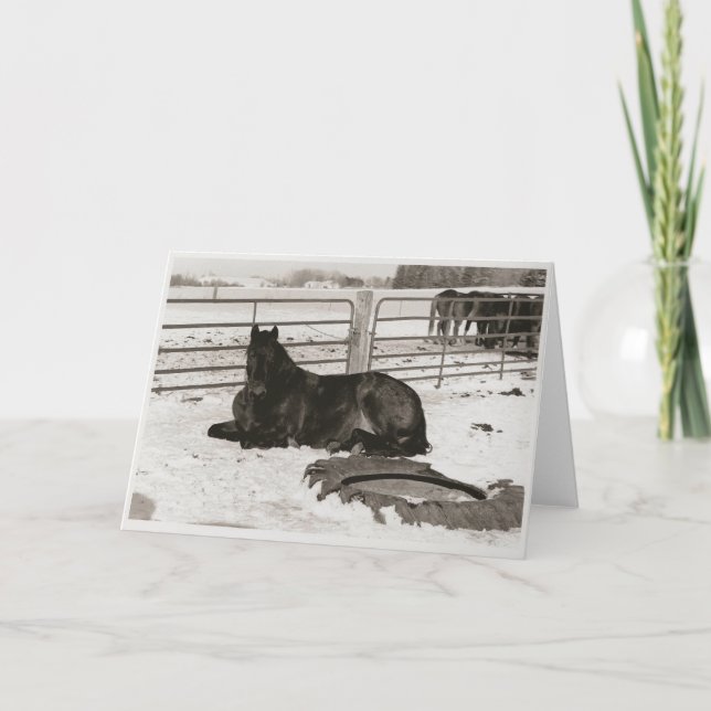 Vinter Helgkort (Framsida)