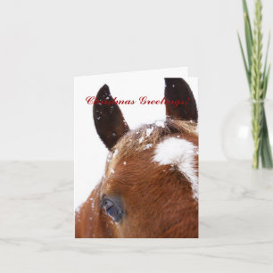 Vinter Horse Head-julhälsningskort Helgkort