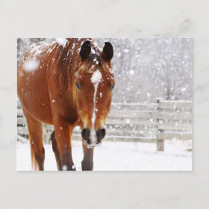 Vinter Horse jul Helg Vykort