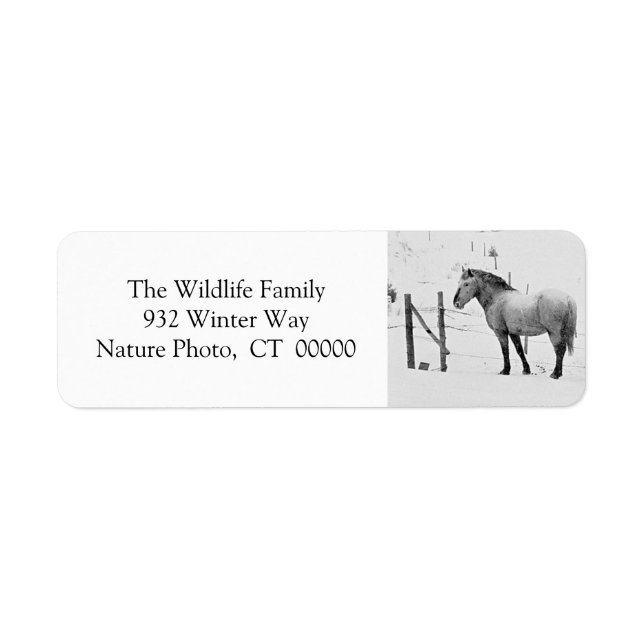 Vinter Horses Fence Personalizable juletikett Returadress Etikett (Framsidan)