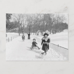 Vinter i Central Park, 1900 Vykort