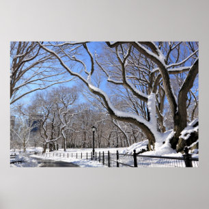 Vinter i Central Park, New York City Poster
