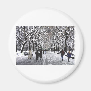 Vinter i Central Park NYC Magnet