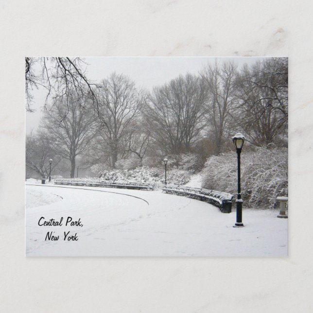 Vinter i Central Park Vykort (Framsida)
