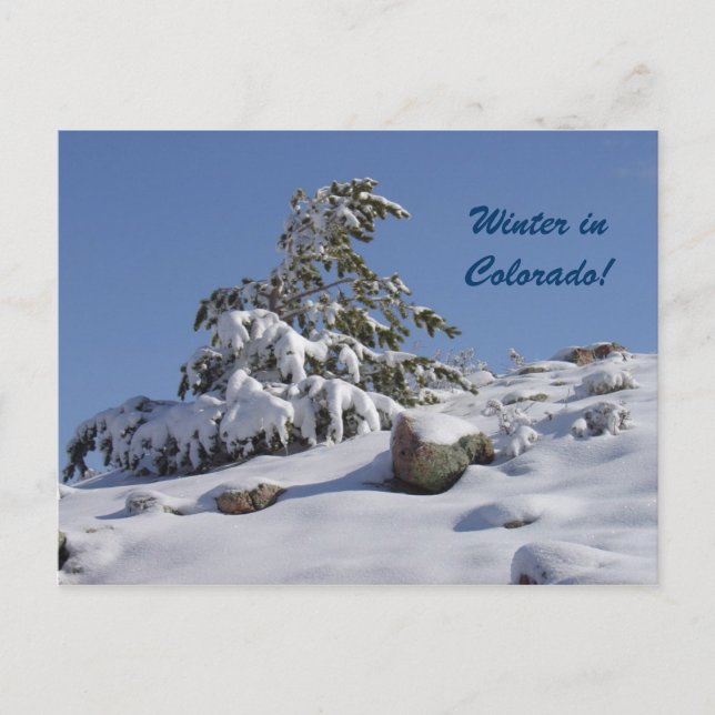 Vinter i Colorado Postcard Vykort (Framsida)