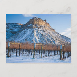 Vinter i Colorado Vin Land Vykort