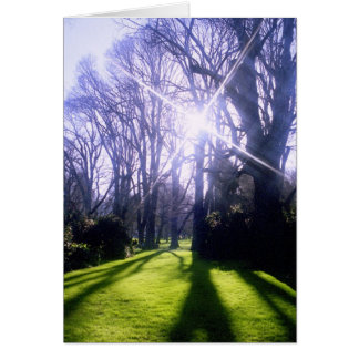 Vinter i Fitzroy Gardens Hälsningskort