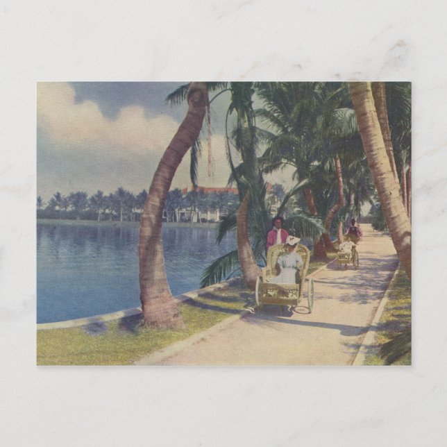 Vinter i Florida, 1908 vykort (Framsida)
