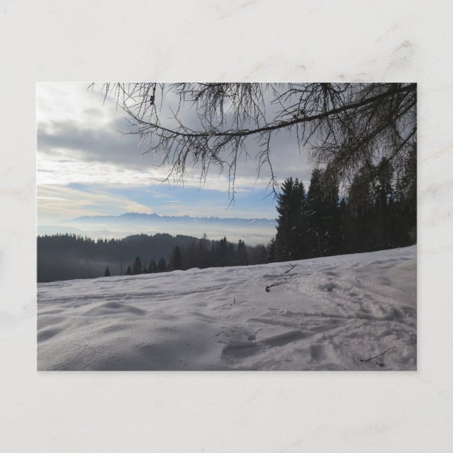 Vinter i Gorces berg Vykort (Framsida)