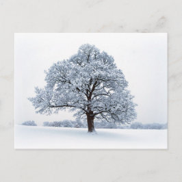 Vinter i Heaton Park-vykort Vykort