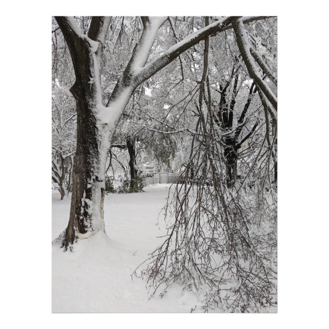 Vinter i Lafayette Square, Washington, DC Fototryck (Framsidan)
