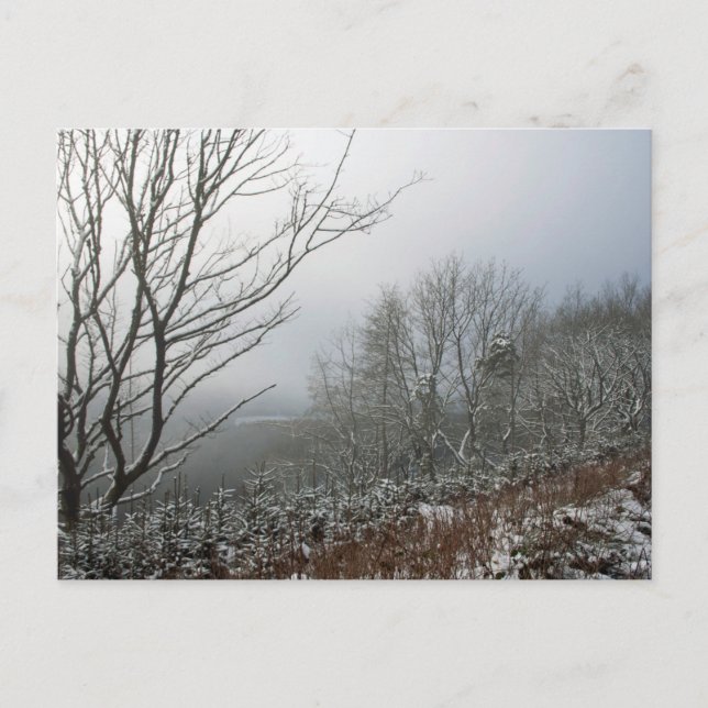 Vinter i Macclesfield-skogskortet Vykort (Framsida)