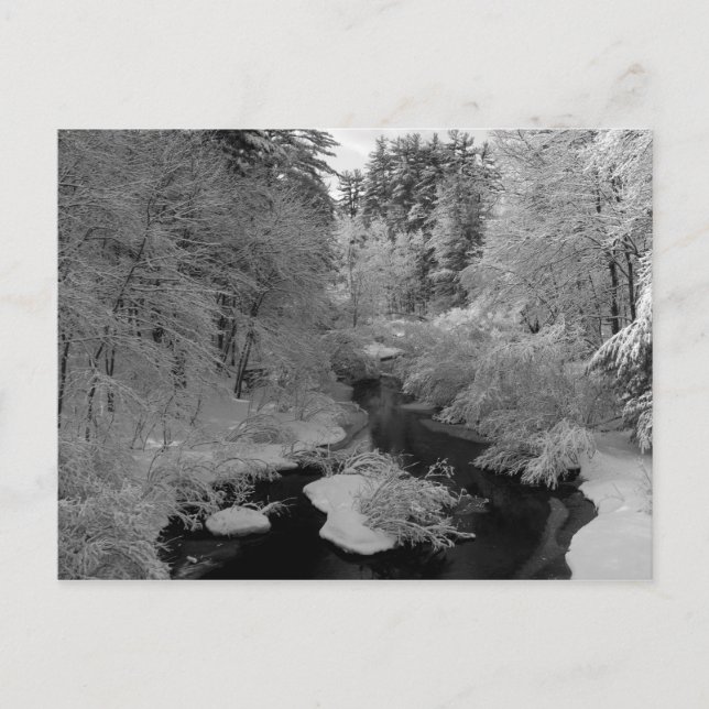 Vinter i New England Vykort (Framsida)