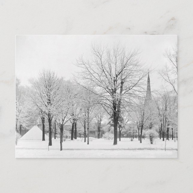 Vinter i parken, 1915 vykort (Framsida)