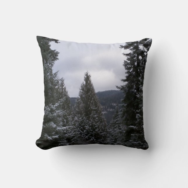 Vinter i Rockiesna Kudde (Framsida)