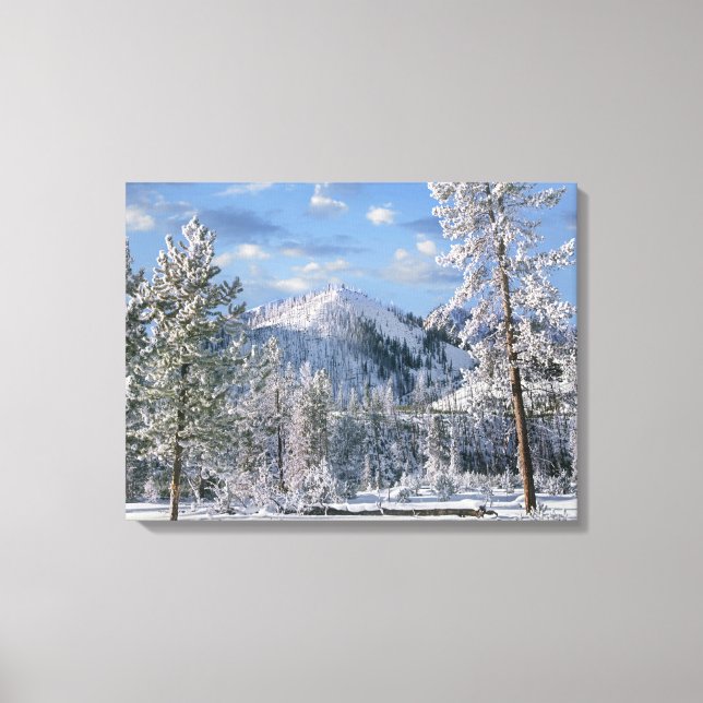 Vinter i Yellowstone National Park, Wyoming Canvastryck (Framsida)